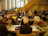 ChessOrg Bild